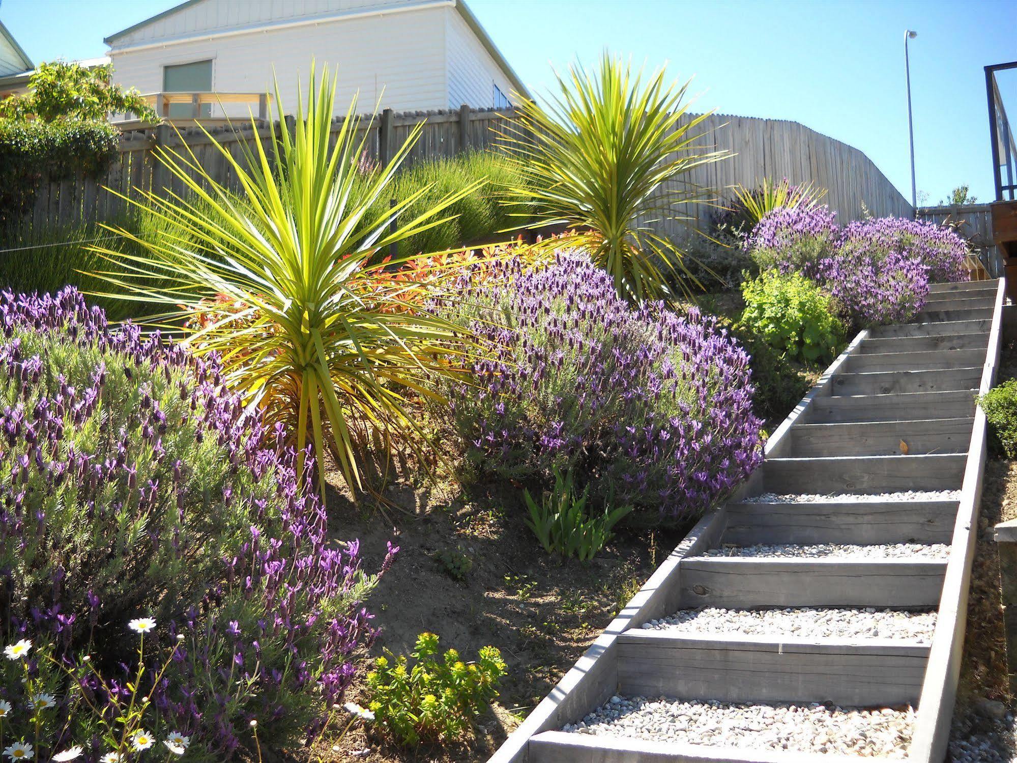 Criffel Peak View Bed And Breakfast Wanaka Exterior foto